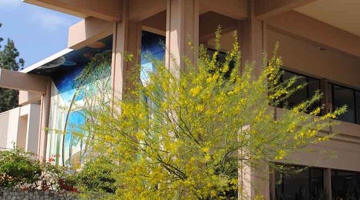 an exterior view of the west side of McConnell center with a view its patio mural and desert landscaping